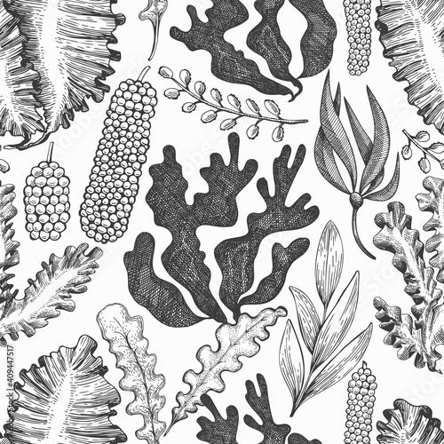 Seaweed seamless pattern. Hand drawn vector seaweeds illustration. Engraved style sea food banner. Retro sea plants background
