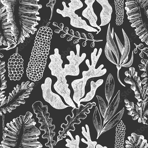 Seaweed seamless pattern. Hand drawn vector seaweeds illustration on chalk board. Engraved style sea food banner. Vintage sea plants background