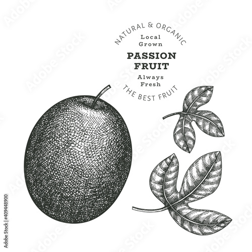 Hand drawn sketch style passion fruit. Organic fresh food vector illustration isolated on white background. Retro exotic fruit illustration. Engraved style botanical picture.