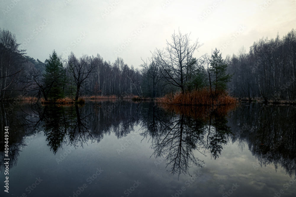 Stiller See in der Ohligser Heide im Winter