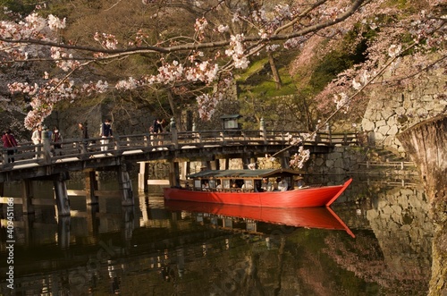 彦根城のお堀を走る屋形船