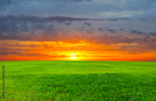 wide green rural field at the dramatic sunset, countryside agricultural scene