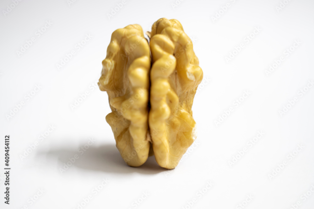 Isolated walnut in white background Isolated walnut in white background