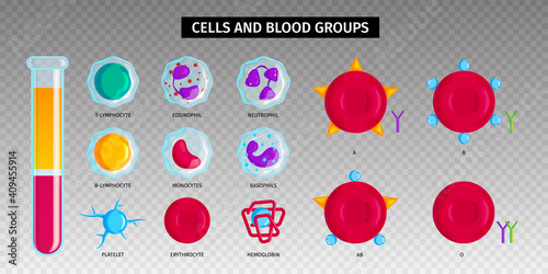Blood Types Cells Transparent Set