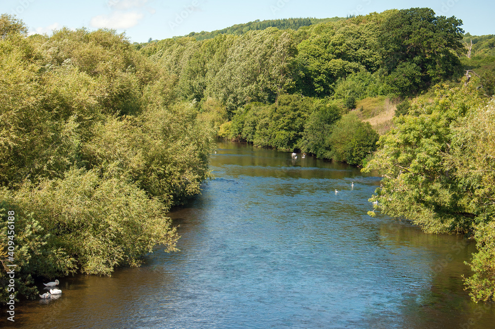 Fototapeta premium River Wye in the summertime