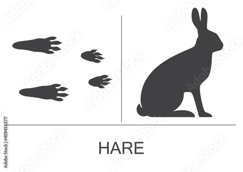 Hare silhouette and prints of the hind and fore paws. Vector illustration on a white background.