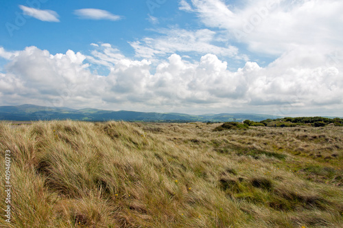 grass and clouds