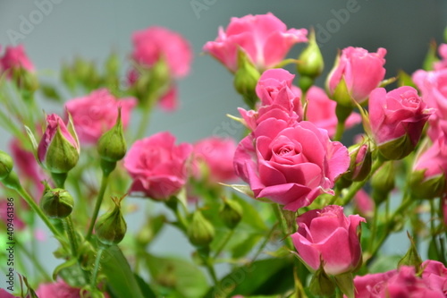 Pink roses. Beautiful fresh flowers. Small roses bouquet. Flowers background.