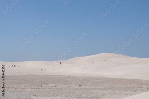 Lanceline Sand Dune