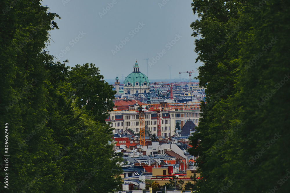 Blick auf die Kuppel der Peterskirche in Wien, durch ein Baumspalier - View of the dome of the Peterskirche in Vienna through a tree trellis