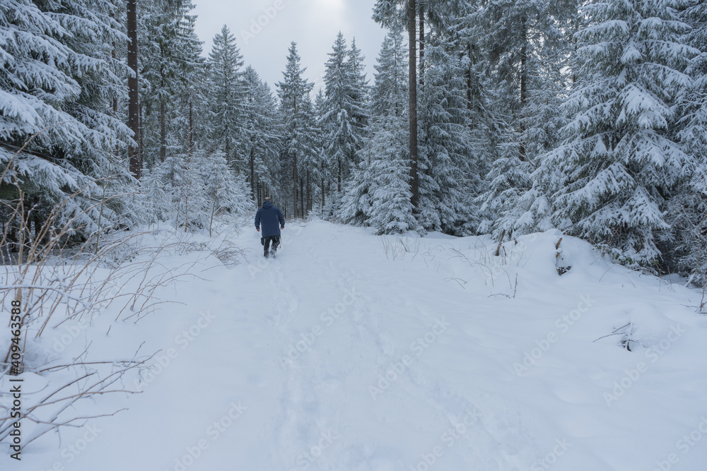 Winter im Thüringer Wald