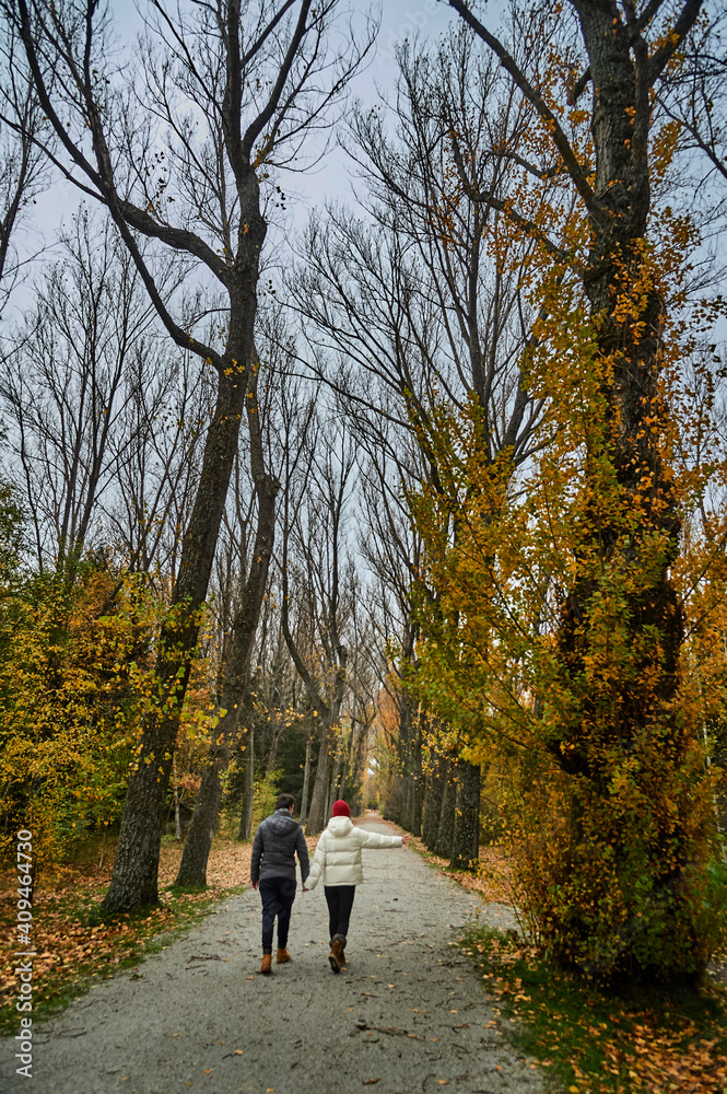 couple walking in the woods couple walking in the woods