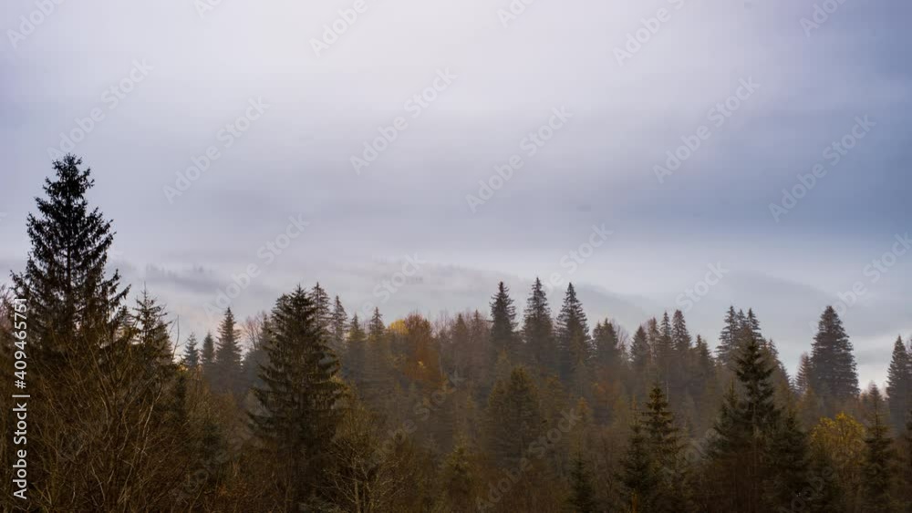 Pine mountain forest is covered with gray mist, 4K UHD time lapse Pine mountain forest is covered with gray mist, 4K UHD time lapse