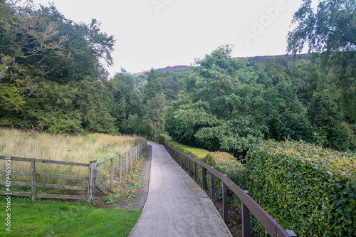 path in the woods