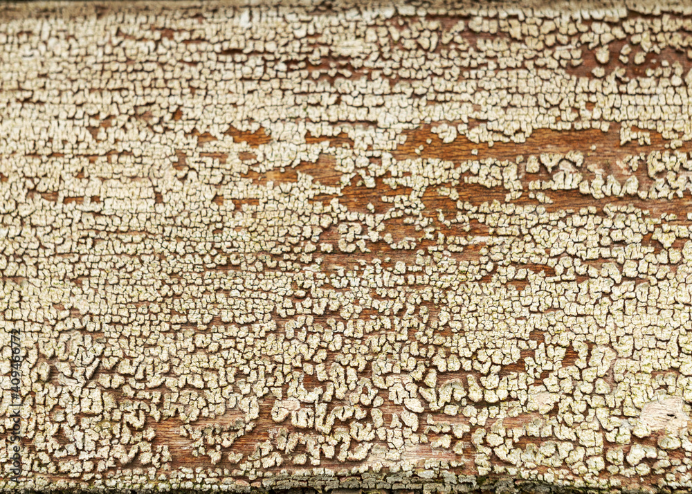 abstract image with old color texture on old wooden board wall, beautiful texture abstract image with old color texture on old wooden board wall, beautiful texture