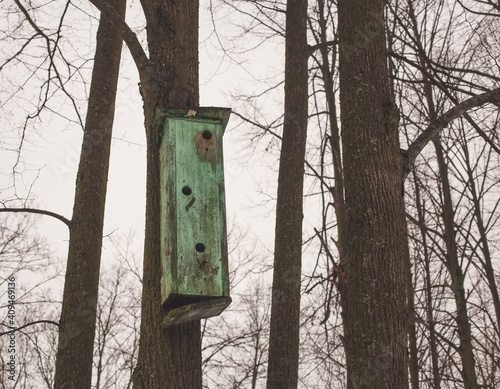 Old abandoned bird house on a tree in early spring. Gray sky, depressive mood. photo