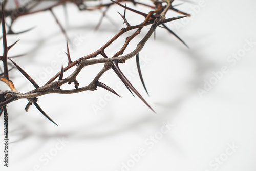 Fotografie Crown of thorns Jesus Christ isolaten on white