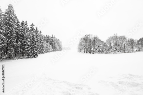 winter landscape with snowy trees in Czech Republic photo