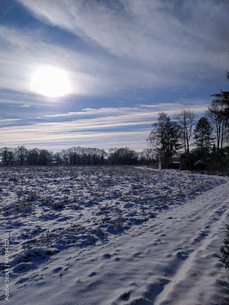 The winter landscape in January