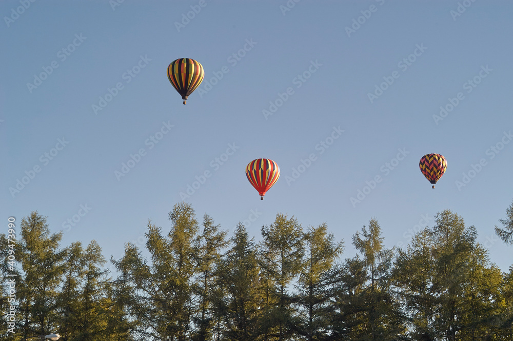 Obraz premium Hot Air Balloons