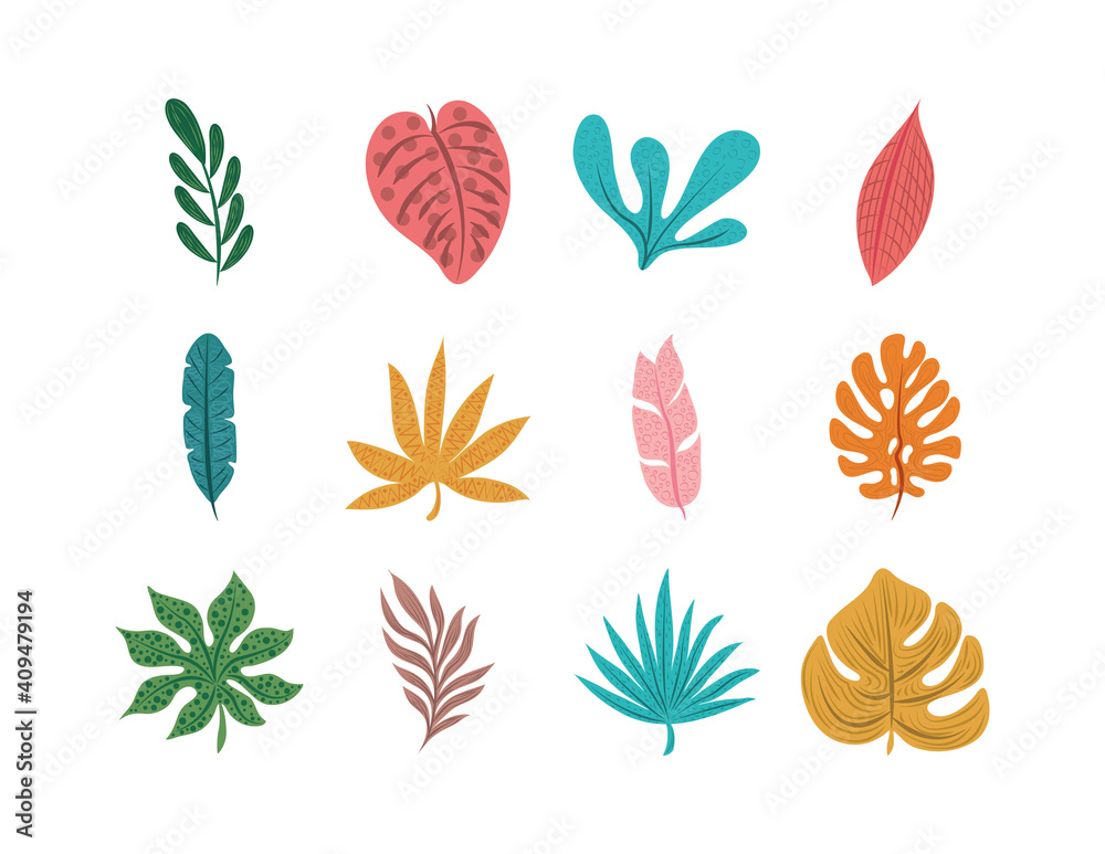 tropical leaf leaves foliage nature decoration icon set flat design tropical leaf leaves foliage nature decoration icon set flat design