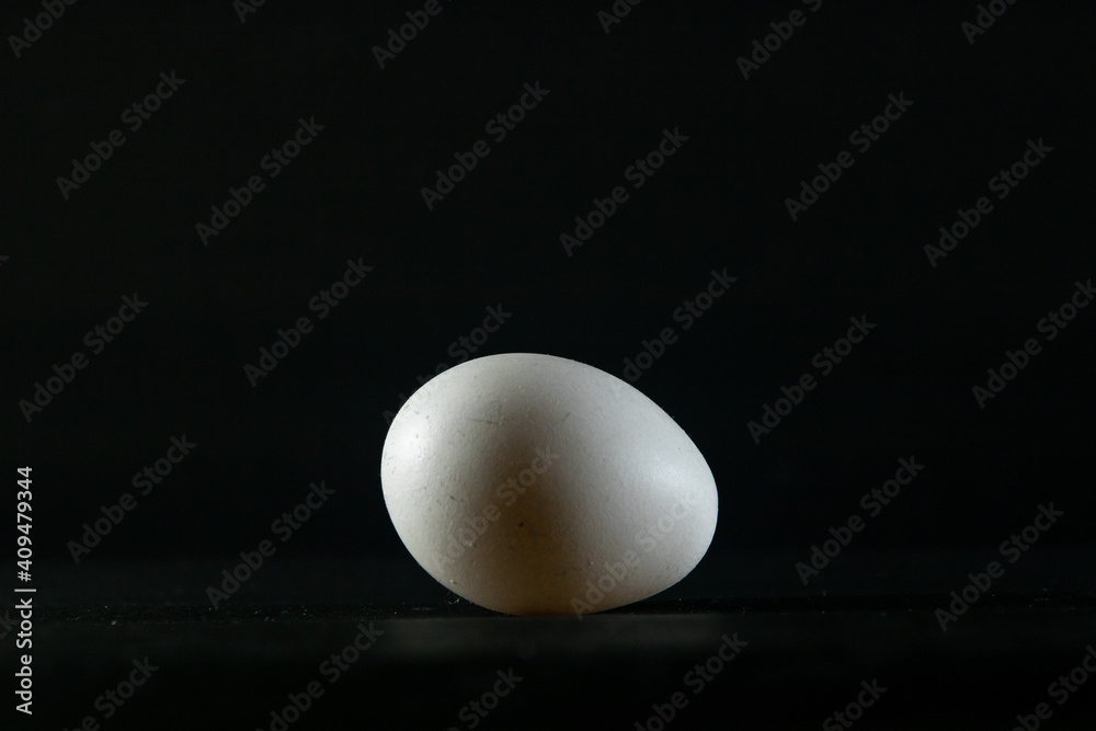 chicken egg on black background chicken egg on black background