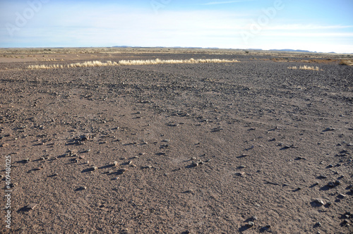 Namibia: Desert landscape at Etosha salt panels near Okaukuejo: