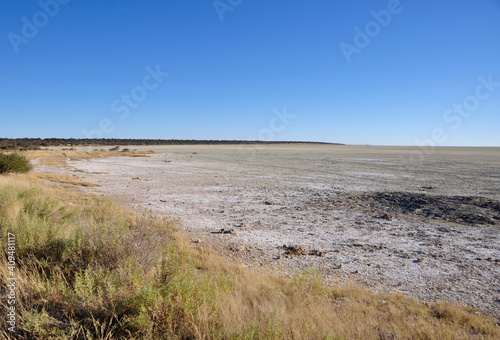 Nature landscape and vegetation at the Etosha salt pans.