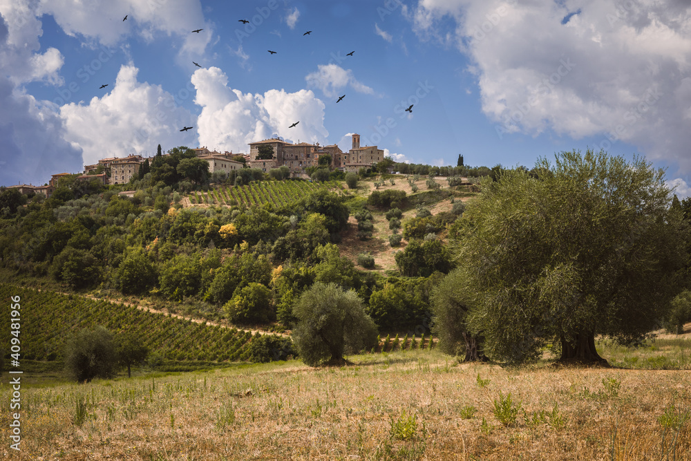 Scenic view of the medieval village of Castelnuovo dell'Abate, Montalcino, Tuscany, Italy