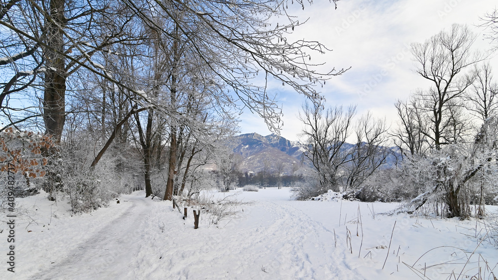 Paesaggio invernale del sentiero nel bosco Paesaggio invernale del sentiero nel bosco