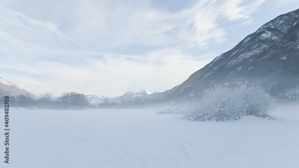 Paesaggio in campagna in inverno, con nebbia bassa, in dicembre