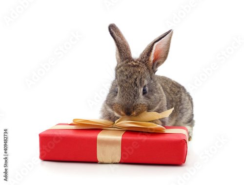 One brown rabbit with gifts.