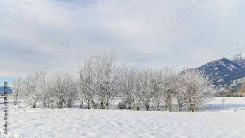 Veduta della campagna in una mattina invernale © fotonaturali