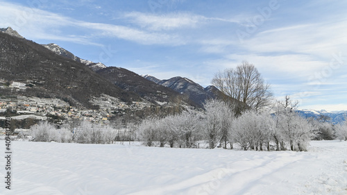 Paesaggio invernale, con la neve, in campagna, con alberi gelati