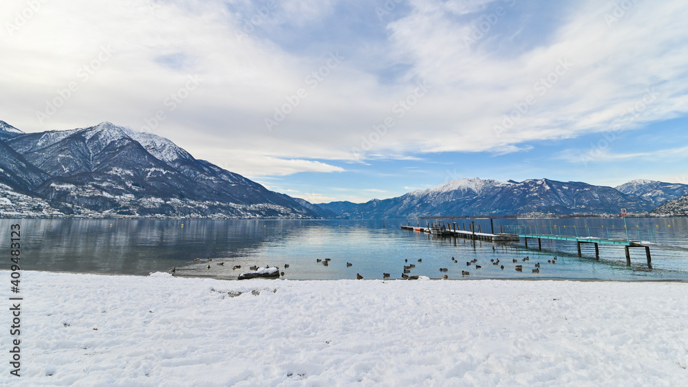 Paesaggio del lago in inverno, con le anatre e cielo azzurro