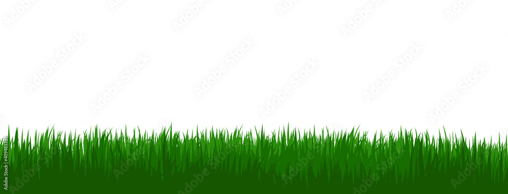 Vector grass foreground on white background. Vector grass foreground on white background.