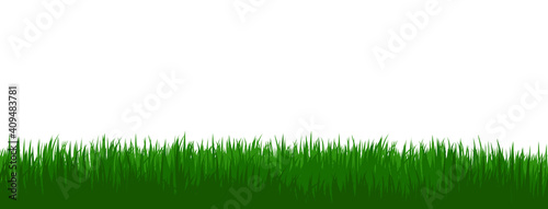 Vector grass foreground on white background.