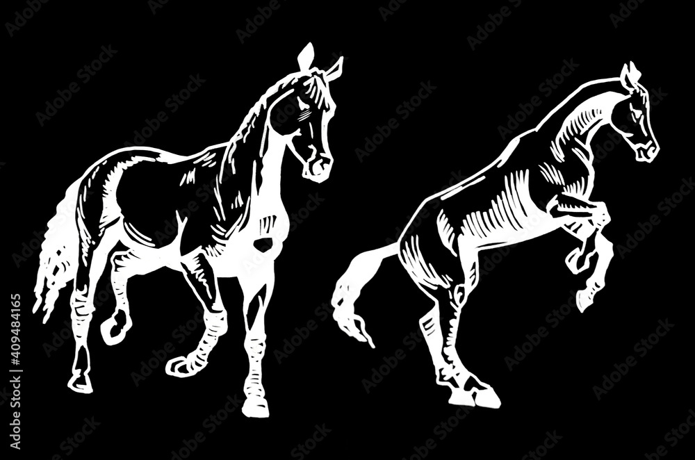 Graphical set of horses isolated on black background, engraved illustration