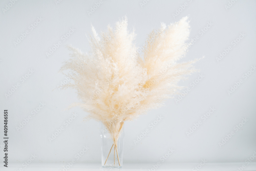 Dry fluffy cereal bouquet in a glass in a center over white background.