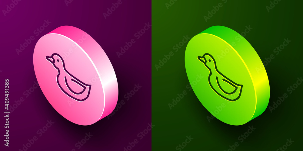 Isometric line Rubber duck icon isolated on purple and green background. Circle button. Vector. Isometric line Rubber duck icon isolated on purple and green background. Circle button. Vector.