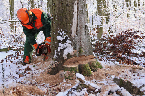 Holzfäller mit Kettensäge beim Baumfällen