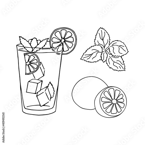 Glass of mojito, ice cubes, mint leaves and lime slice outline. Hand drawing. Vector cocktail objects. Cold mojito cocktail poster.