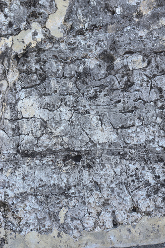 Texture wall of Colonial Catlle Fortress in caribbean sea. Texture for compositing and commercial use. Restauration materials apllied. photo