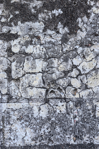 Texture wall of Colonial Catlle Fortress in caribbean sea. Texture for compositing and commercial use. Restauration materials apllied. photo