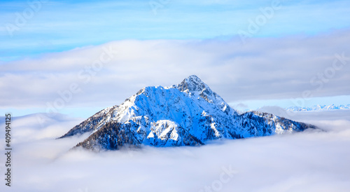vette innevate