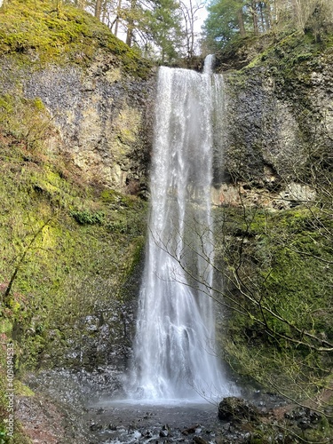 Waterfall in nature  Silver Falls State Park  Oregon