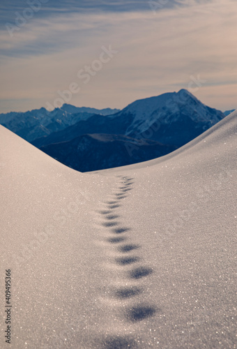 segui la neve