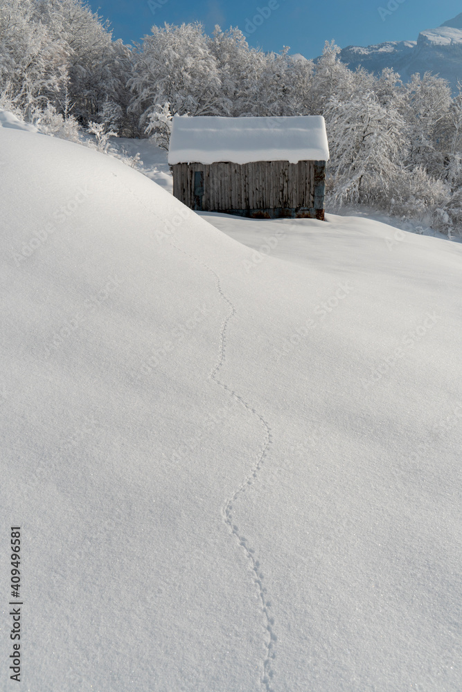 Tierspur im firschen Pulverschnee Tierspur im firschen Pulverschnee