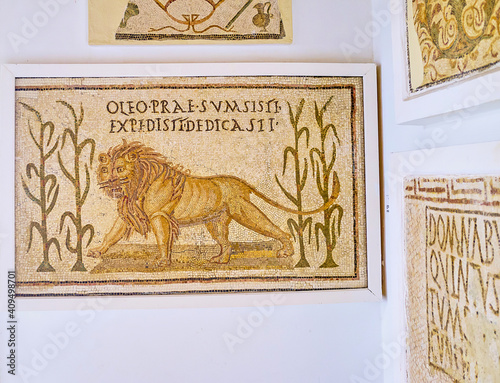 The mosaic of menacing lion in Tunis, Tunisia photo