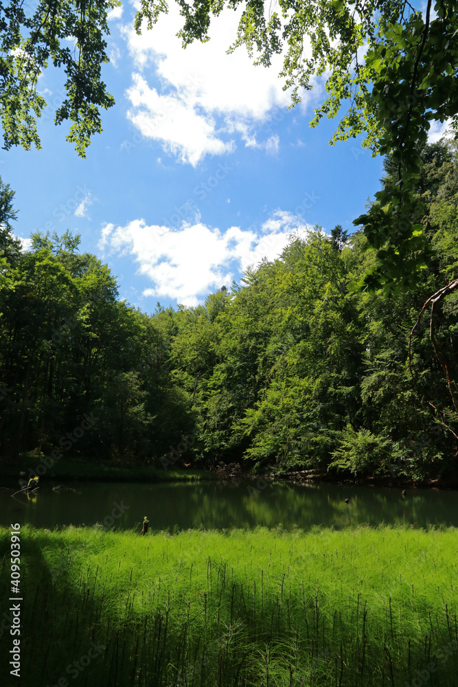 Fototapeta premium Duszatynskie lakes, mountain lakes in Bieszczady Mountains, Poland